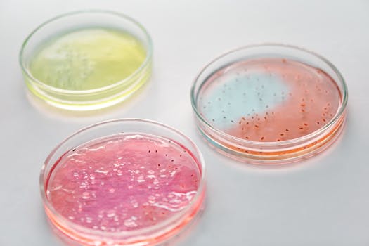 Vorbereitete Agar-Platten